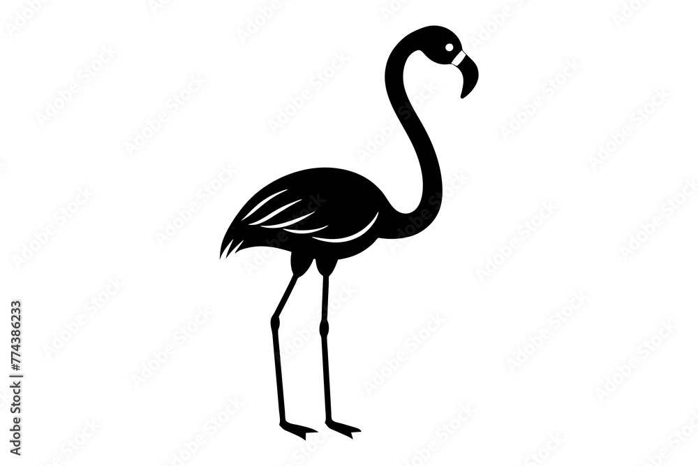 flamingo vector illustration flamingo vector illustration