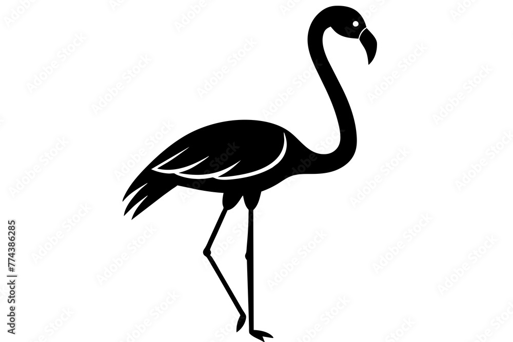 Obraz premium flamingo vector illustration