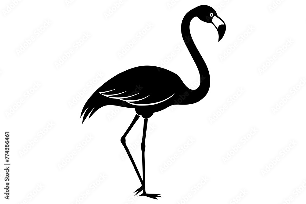 Obraz premium flamingo vector illustration