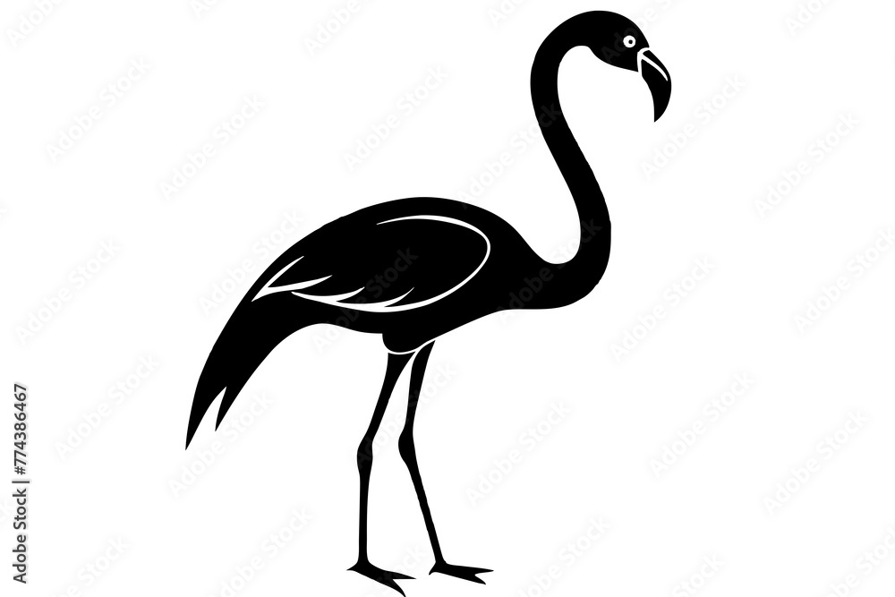 Fototapeta premium flamingo vector illustration