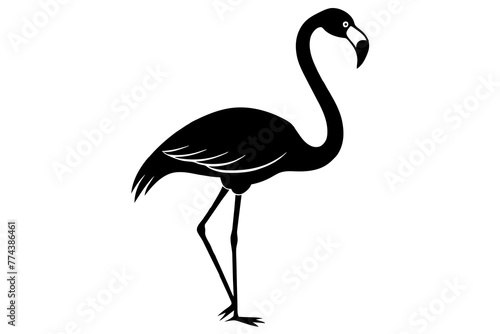 flamingo vector illustration