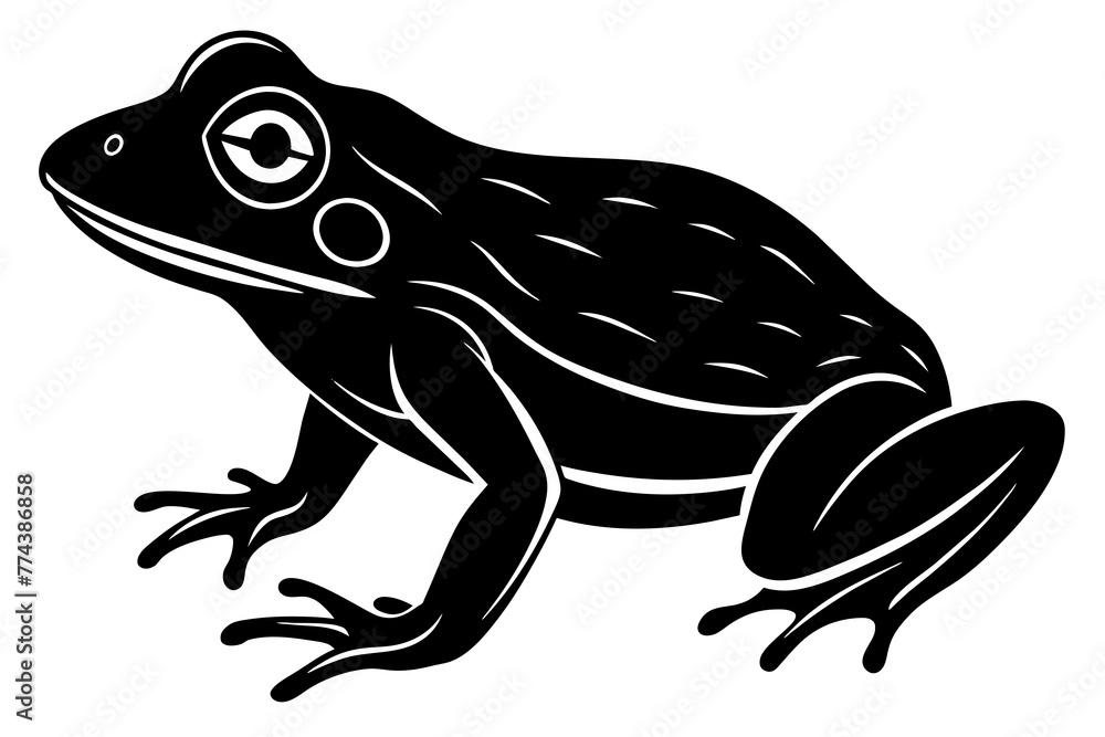 frog vector illustration frog vector illustration