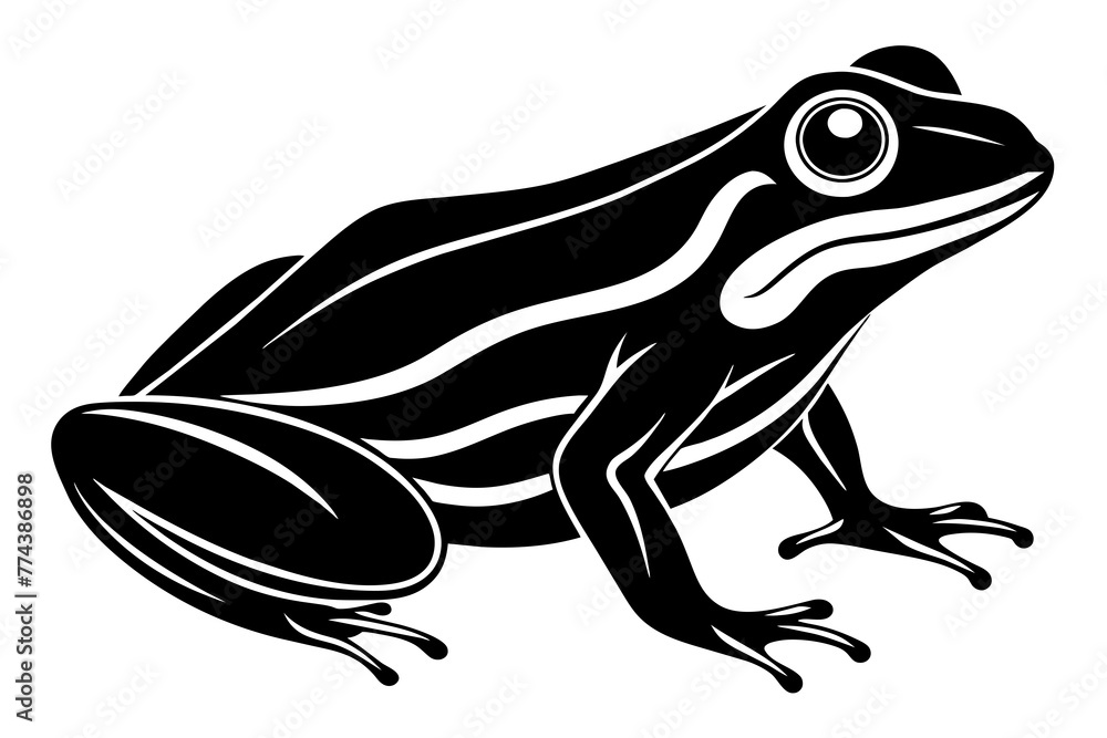 frog vector illustration frog vector illustration