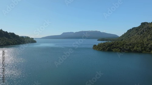 Aerial:  Calm Lake Tarawera and native forest of Punga fern trees, Rotorua, Bay of Plenty, New Zealand. photo