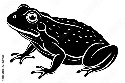 toad silhouette vector illustration