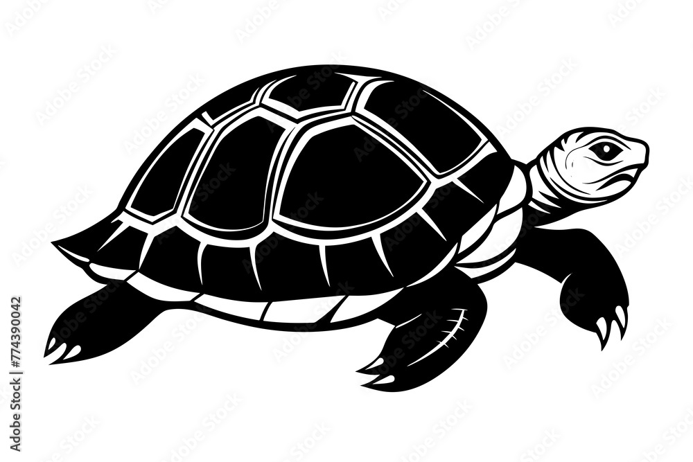 turtle silhouette vector illustration turtle silhouette vector illustration