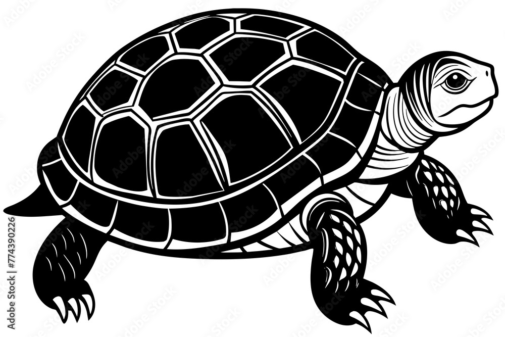 turtle silhouette vector illustration turtle silhouette vector illustration