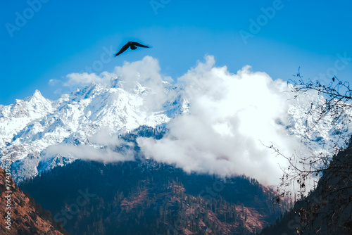 Snowy Himalayan Mountains Snow Peaks Scenic Landscape Majestic Summit High Altitude Glaciers Alpine Treks Adventure Wilderness Nature Beauty Serenity Remote Expedition Himalayas Scenery Ice-capped © Pedro