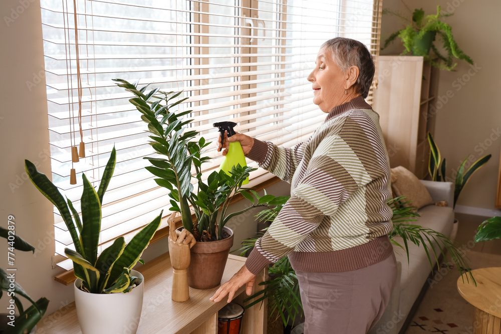 Senior gardener watering plants on shelf at home Senior gardener watering plants on shelf at home