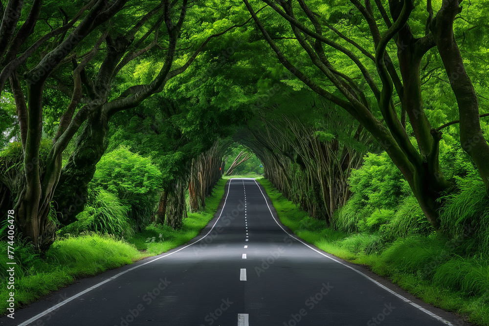 Obraz premium An empty road surrounded by trees and grass