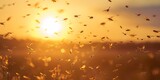 A swarm of insects is flying in the sky at sunset