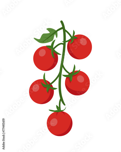 Branch of fresh Cherry tomato. Red farm tomato plant icon. Organic vegetables vegetarian food. Vector illustration isolated on white background.