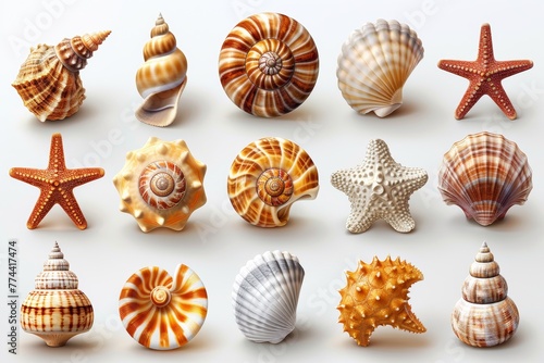 An icon set showing shells, snails, mollusks, starfish, and sea horses in 3D