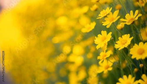 Floral Radiance: Bright Yellow Flowers Backdrop