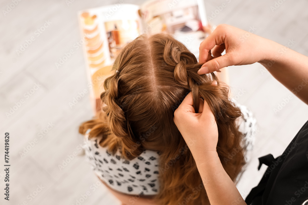 Professional hairdresser braiding client's hair in salon Professional hairdresser braiding client's hair in salon