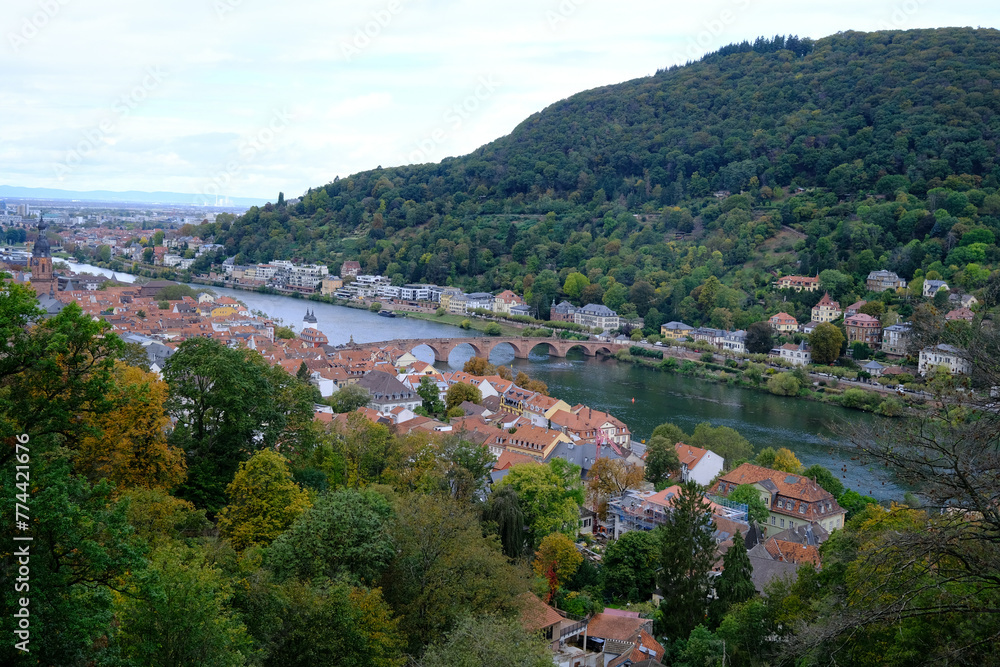 view on heidelber, bridge and on the river neckar