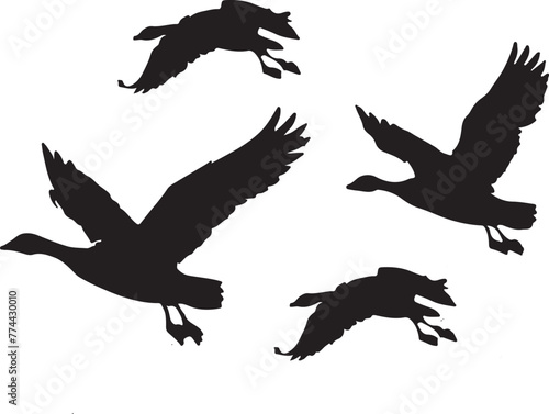 various flying goose silhouette illustration