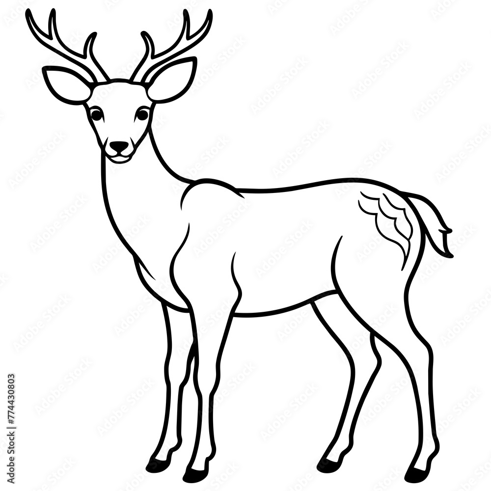 deer line art, silhouette vector illustration.