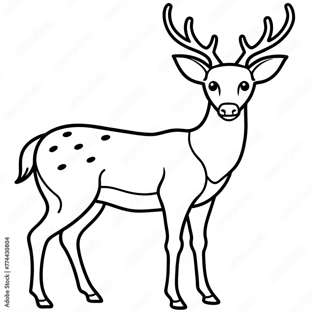 Fototapeta premium deer line art, silhouette vector illustration.
