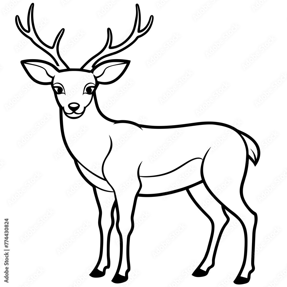 deer line art, silhouette vector illustration. deer line art, silhouette vector illustration.