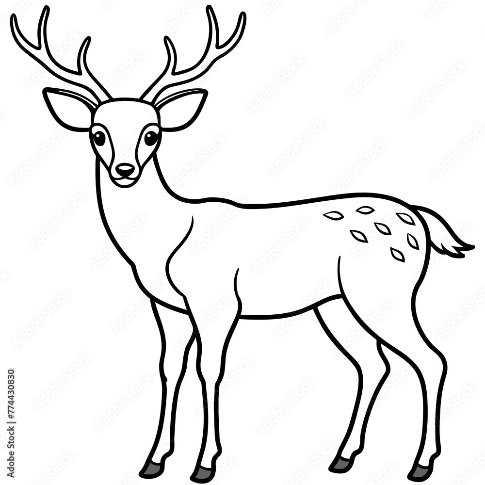 deer line art, silhouette vector illustration. deer line art, silhouette vector illustration.