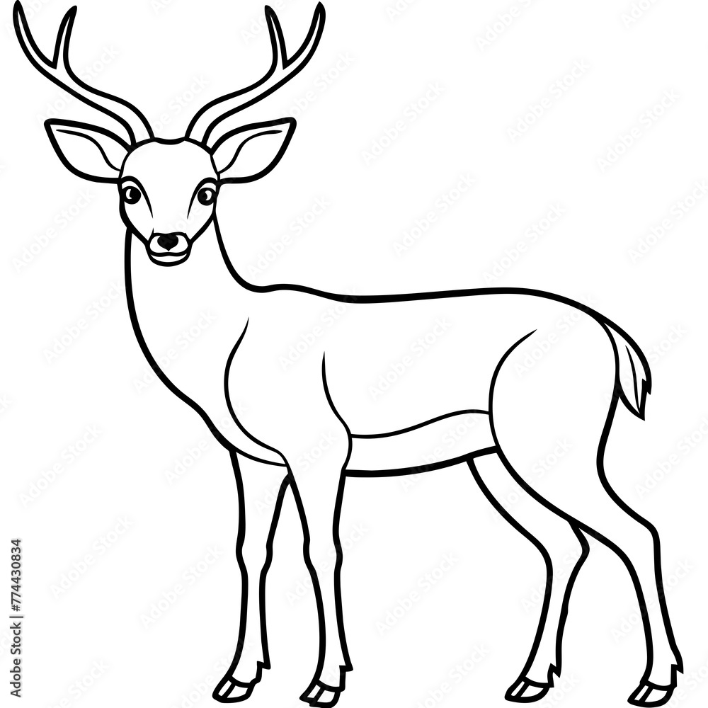 deer line art, silhouette vector illustration. deer line art, silhouette vector illustration.