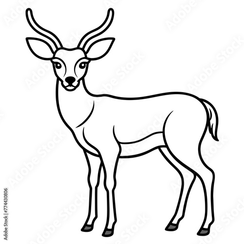 deer line art, silhouette vector illustration.