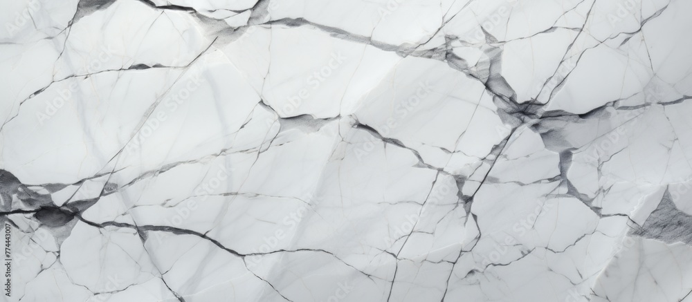 Detailed view of a white marble slab showing various intricate cracks and fractures on the surface Detailed view of a white marble slab showing various intricate cracks and fractures on the surface