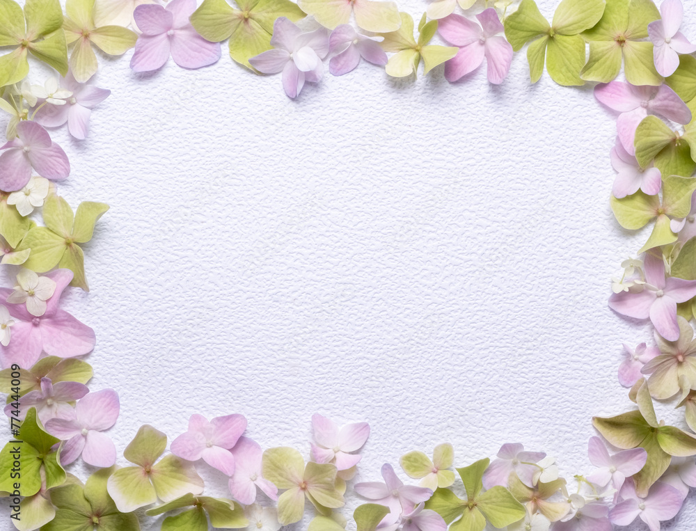 Floral frame from hydrangea flowers isolated on a white background. View from above, copy space