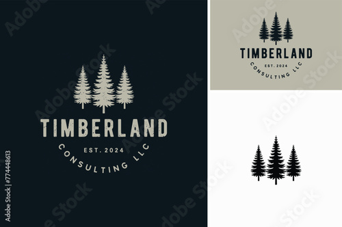 Silhouette of three pines tree similar with evergreen fir conifer spruce cedar larch cypress tree. Forest Landscape classic vintage logo design