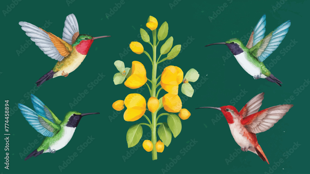 Collection of Bird Vectors on White Background