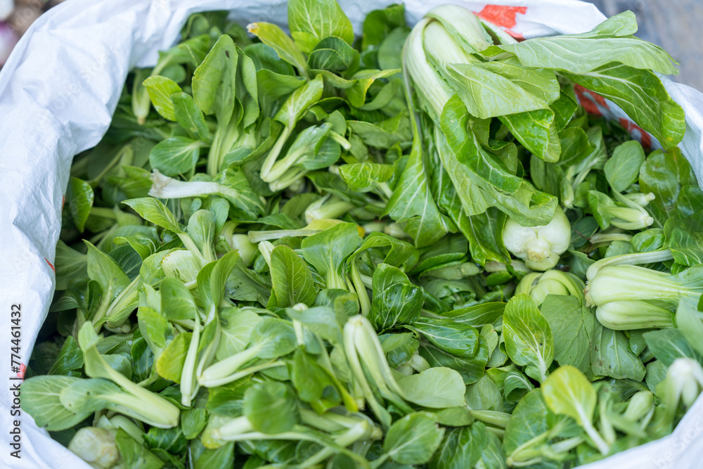 Fresh chinese green cabbage pak choi in bag. Fresh chinese green cabbage pak choi in bag.