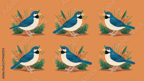 Collection of Bird Vectors on White Background