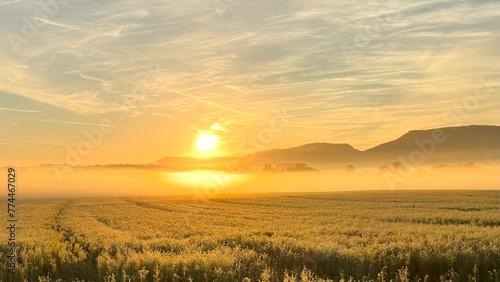 Panoramic landscape of a sunrise in Göppingen, Germany