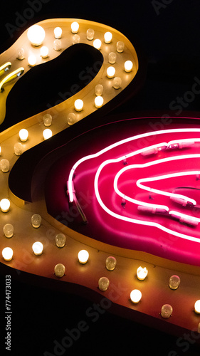 Las Vegas Vibrant Neon Sign Nighttime (ID: 774473033)