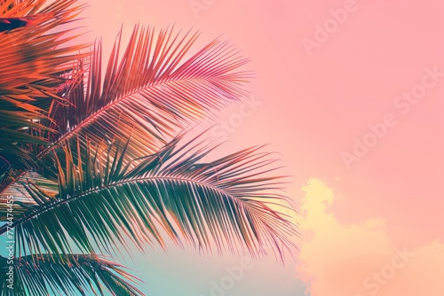 Beautiful palm tree against a sunset sky background A vintage tropical beach banner with space for copy, presented flatly and shot from a low angle Generative AI © SKIMP Art