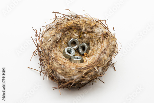 Tuercas de tornillos en un nido de aves natural, aislado en blanco