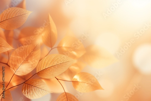 Autumn background  autumn leaves in orange and yellow colors  background scene for advertising  vector template platform banner for selling autumn products  promotion