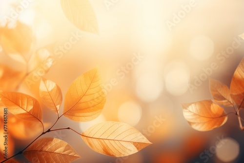 Autumn background, autumn leaves in orange and yellow colors, background scene for advertising, vector template platform banner for selling autumn products, promotion