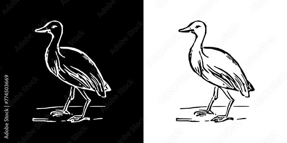 Fototapeta premium Bird icon. Black icon. Line icon. Black line. Animal. Silhouette
