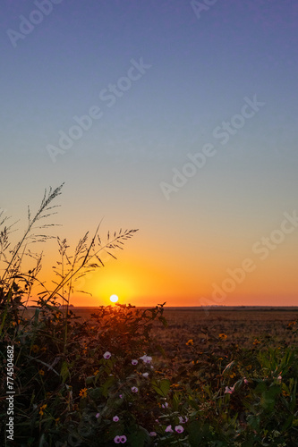 Beautiful sunset on the shores of the Rio Prana, Argentina. Vertivcal photo photo