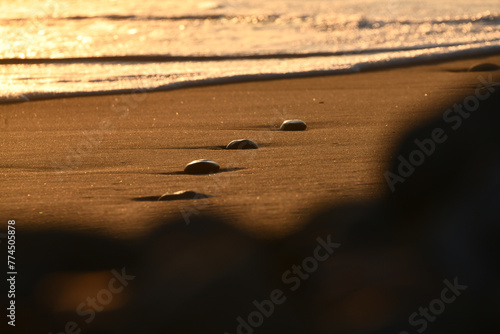 Fototapeta Naklejka Na Ścianę i Meble -  Ocean Sunset Warm Rocks Sand Water Beach