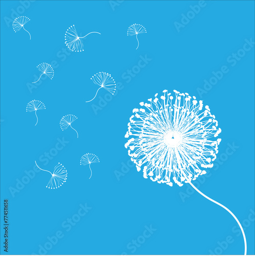 Fotografija A close-up of a dandelion seed head with its white, fluffy seeds blowing away on a bright blue sky background
