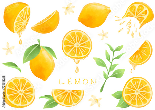 綺麗なレモンの素材イラストセット