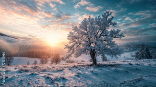 Beautiful winter landscape with trees in hoarfrost in the mountains at sunset