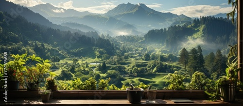 View from the open window with views of green mountains photo