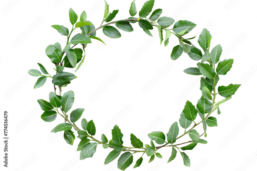Graceful Laurel Wreath