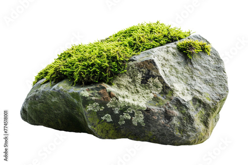 A mossy rock