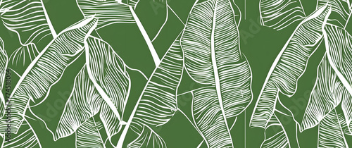 Seamless pattern banana tree and leaves that it is a tropical plant on white background
