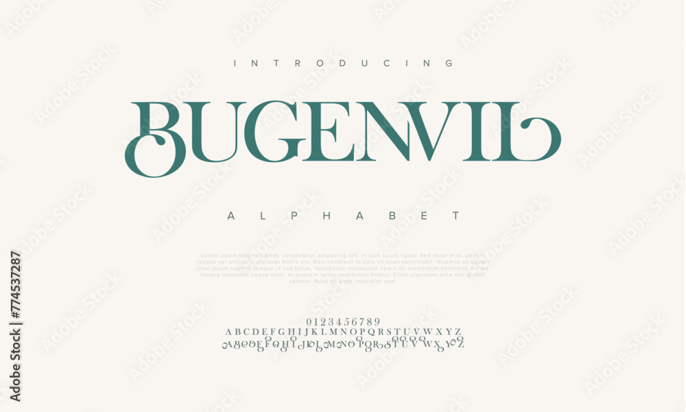 Bugenvil elegant Font Uppercase Lowercase and Number. Classic Lettering Minimal Fashion Designs. Typography modern serif fonts regular decorative vintage concept. vector illustration